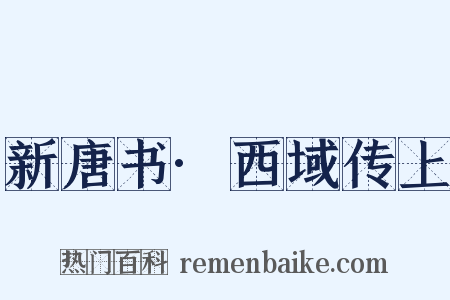 新唐书·西域传上是什么意思的图片